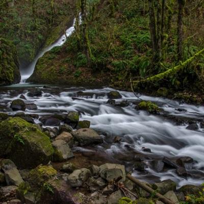 leyu手机版登录入口官网