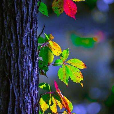 beplayapp下载登录